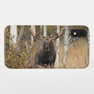 Funda Para iPhone XR Alces impresionantes de Bull