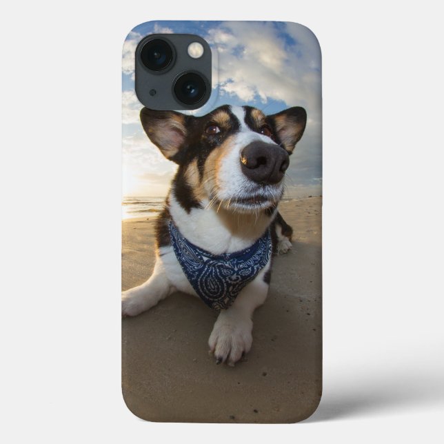 Funda De Case-Mate Para iPhone ¿Alguien Dijo "Cookie"? (Reverso)