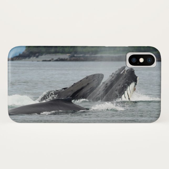 Funda De Case-Mate Para iPhone Alimentando ballenas jorobadas (Reverso (horizontal))