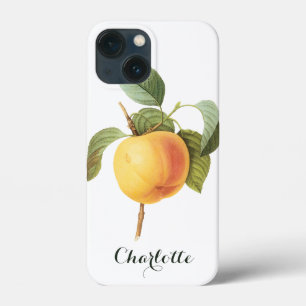 title_seo2 Alimento de Fruta Vintage, Manzana Calville por Re