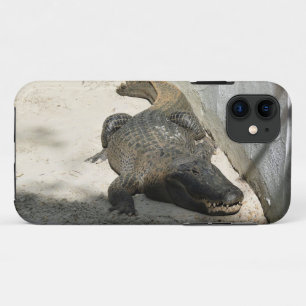 Funda Para iPhone 11 Alligator, Fort Lauderdale, Florida