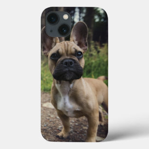 Funda Para iPhone 13 Almohada de French Bulldog