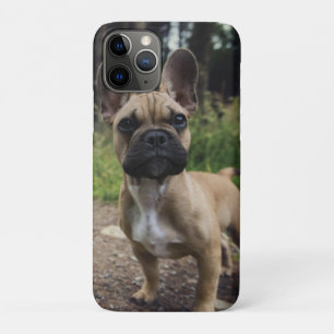 Funda Para iPhone 11 Pro Almohada de lanzamiento de Bulldog Francés