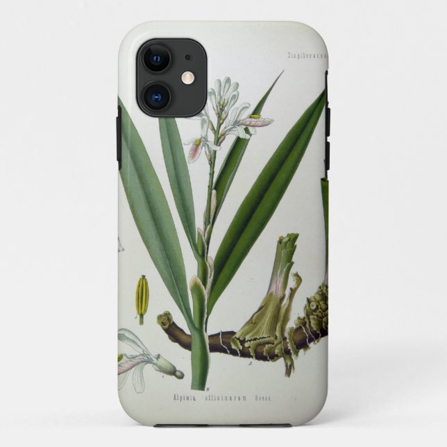 Funda De Case-Mate Para iPhone Alpinia officinarum (Reverso)