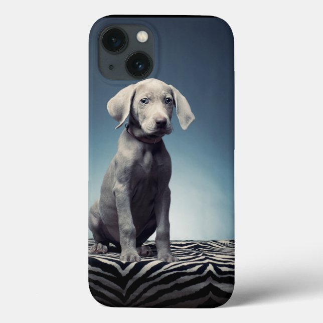 Funda De Case-Mate Para iPhone Alumna de Weimaraner (Reverso)