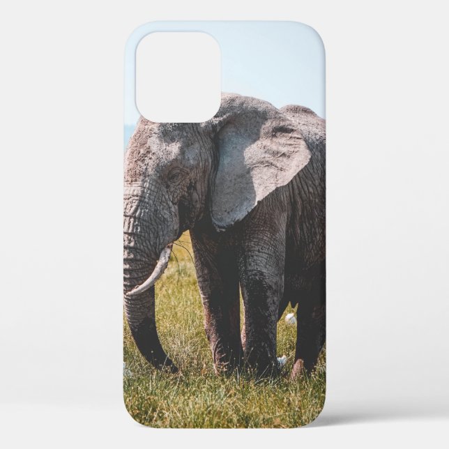 FUNDA DE Case-Mate PARA iPhone AMABLE ELEFANTE (Reverso )