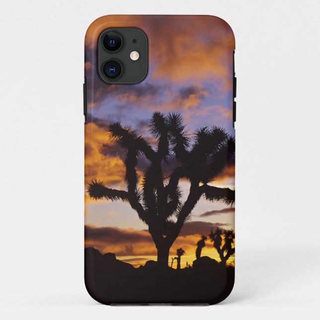 Funda De Case-Mate Para iPhone Amanecer Espectacular en el Parque Nacional Joshua (Reverso)