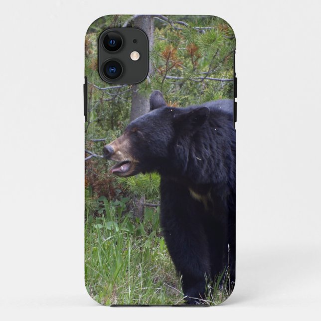 Funda De Case-Mate Para iPhone Amante del oso negro salvaje de los osos (Reverso)