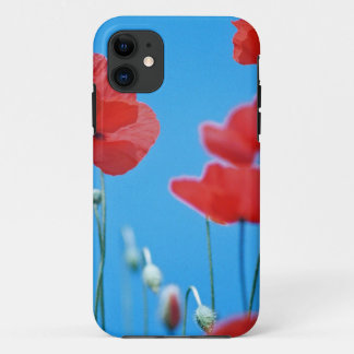 Funda Para iPhone 11 Amapolas de Provence