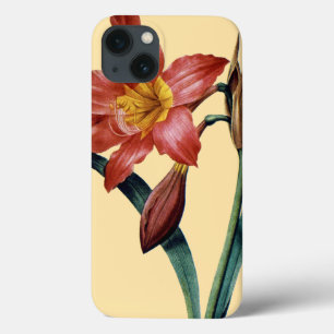 Funda Para iPhone 13 Amaryllis