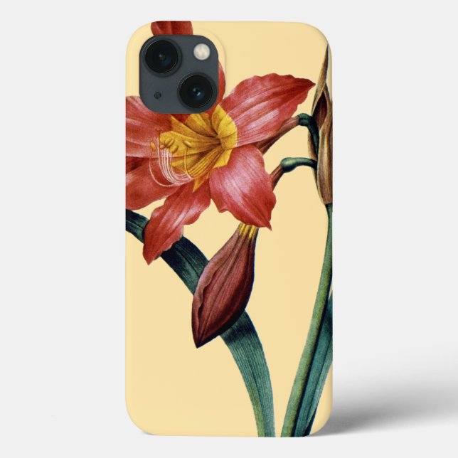 Funda De Case-Mate Para iPhone Amaryllis (Reverso)