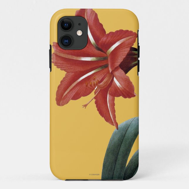 Funda De Case-Mate Para iPhone Amaryllis rayado (Reverso)