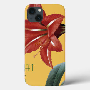 title_seo2 Amaryllis Striped