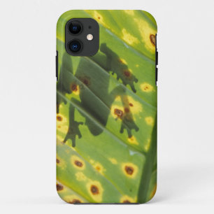 Funda Para iPhone 11 AMÉRICA CENTRAL, Costa Rica, Rana con iluminación 