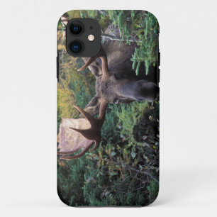 Funda Para iPhone 11 América del Norte, Canadá, Nueva Escocia, Cabo Bre