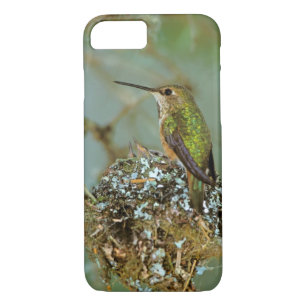 Funda Para iPhone 8/7 América del Norte, Estados Unidos, Alaska. Rufous