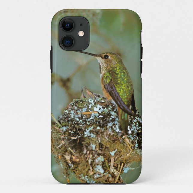 Funda De Case-Mate Para iPhone América del Norte, Estados Unidos, Alaska. Rufous  (Reverso)