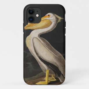 Funda Para iPhone 11 América del pájaro pelícano blanco audubon