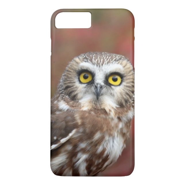 Funda De Case-Mate Para iPhone Amigos (Reverso)