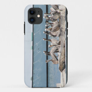 Funda Para iPhone 11 Amigos del puerto
