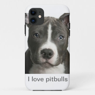 title_seo2 Amo pitbulls