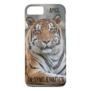 Funda Para iPhone 8/7 Amol -