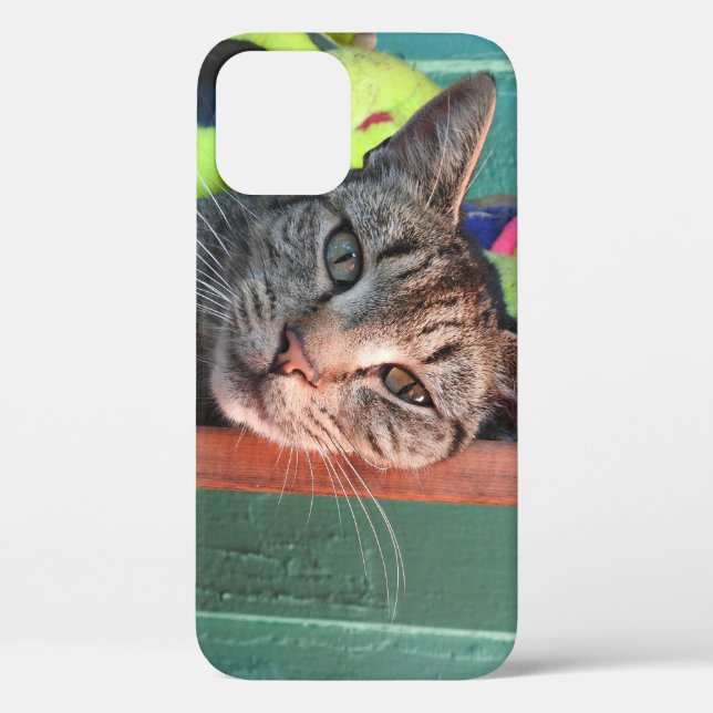 Funda De Case-Mate Para iPhone Amor al gato (Reverso )