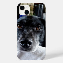 Añadir la foto de su perro a este Personalizado