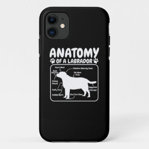 Funda Para iPhone 11 Anatomía de perro de Labrador