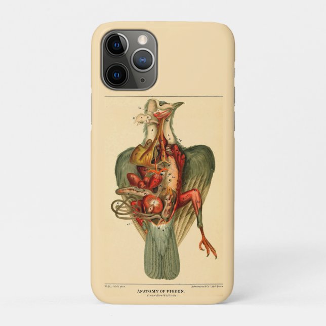 Funda De Case-Mate Para iPhone Anatomía de una paloma (Reverso)