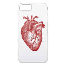 Anatomía del corazón del vintage