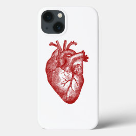 title_seo2 Anatomía del corazón del vintage