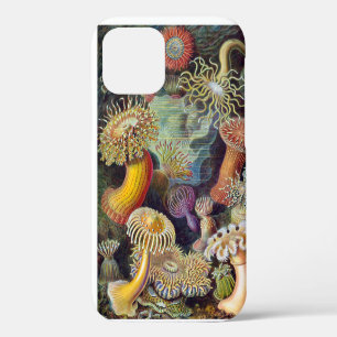 Funda Para iPhone 12 Anémona de mar naturaleza científica océano
