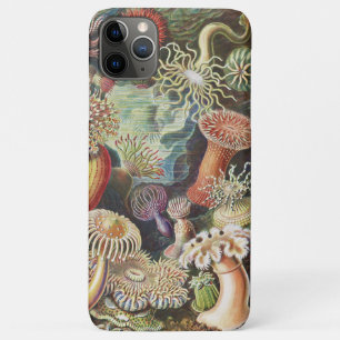 Funda Para iPhone 11 Pro Max Anémonas de mar, Actiniae Seeanemonen Ernst Haecke