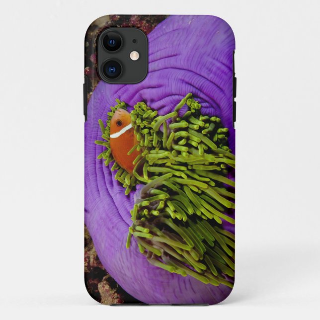 Funda De Case-Mate Para iPhone Anemonefish y anémona grande (Reverso)