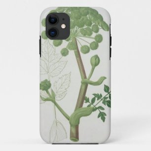 Funda Para iPhone 11 Angélica Archangelica de 'Phytographie Medicale
