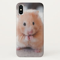 Animales De Amor De Hámster Cute