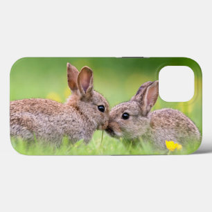 Funda Para iPhone 13 Animales de bebé más afectados   Bunny Kiss