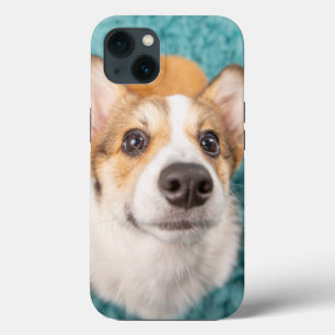 Funda Para iPhone 13 Animales de bebé más afectados   Cara dulce Corgi 