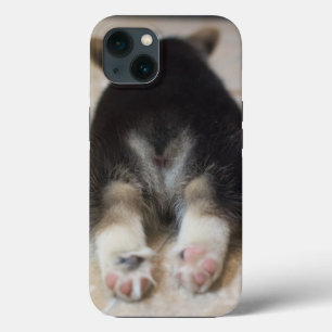 Funda Para iPhone 13 Animales de bebé más afectados   Corgi Puppy Detrá