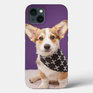 Funda Para iPhone 13 Animales de bebé más afectados   Corgi Puppy Skull