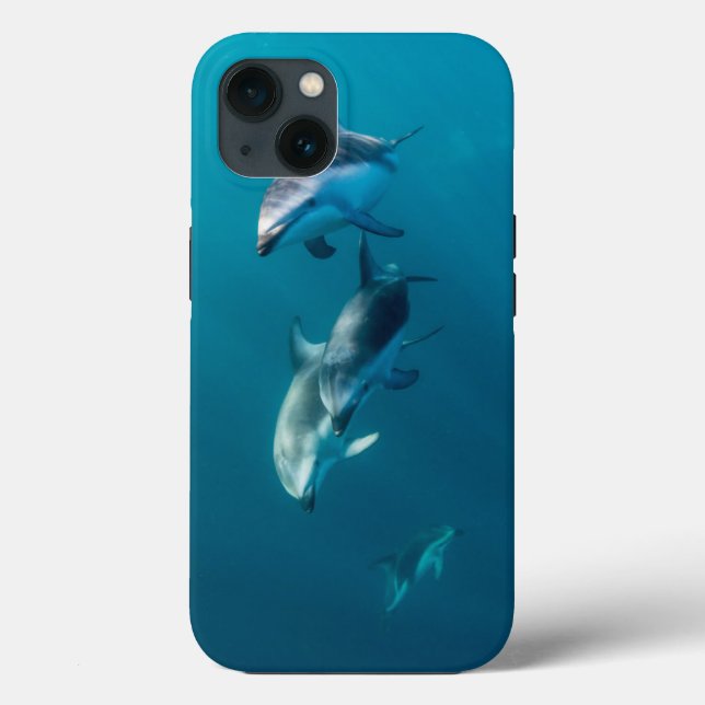 Funda De Case-Mate Para iPhone Animales de bebé más afectados | Dolphin Family (Reverso )