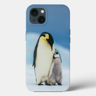 Funda Para iPhone 13 Animales de bebé más afectados   Emperador Pingüin