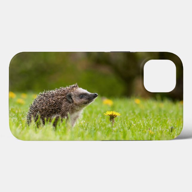 Funda De Case-Mate Para iPhone Animales de bebé más afectados | Erizo europeo (Reverso (Horizontal))