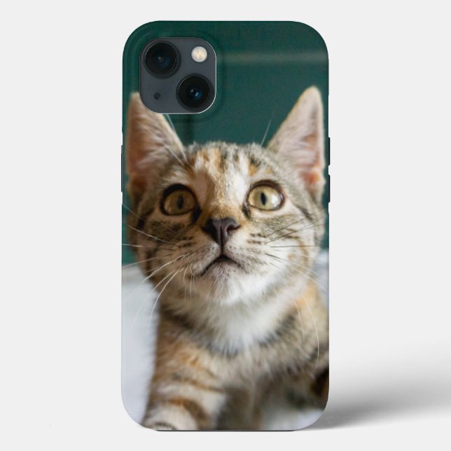 Funda De Case-Mate Para iPhone Animales de bebé más afectados | Gatita Cuta Tabby (Reverso )
