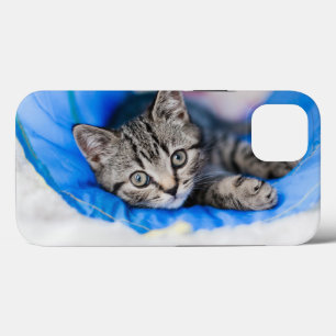 Funda Para iPhone 13 Animales de bebé más afectados Gatito de Tabby e