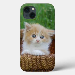 Funda Para iPhone 13 Animales de bebé más afectados   Gatito teñido azu