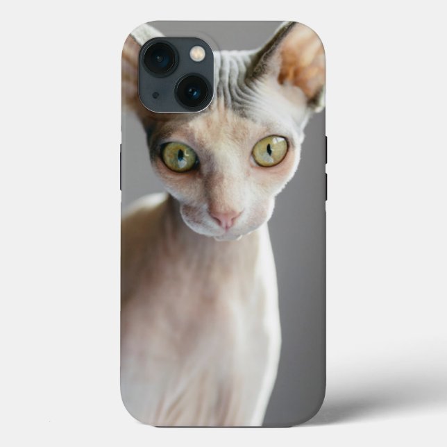 Funda De Case-Mate Para iPhone Animales de bebé más afectados | Gato de esfinge (Reverso )