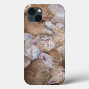Funda Para iPhone 13 Animales de bebé más afectados Naranja Kitten Pi