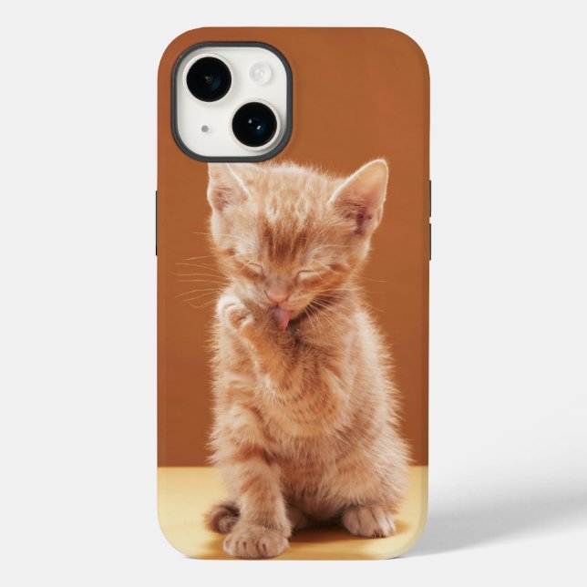 Funda De Case-Mate Para iPhone Animales de bebé más afectados | Naranja Tabby Kit (Reverso )